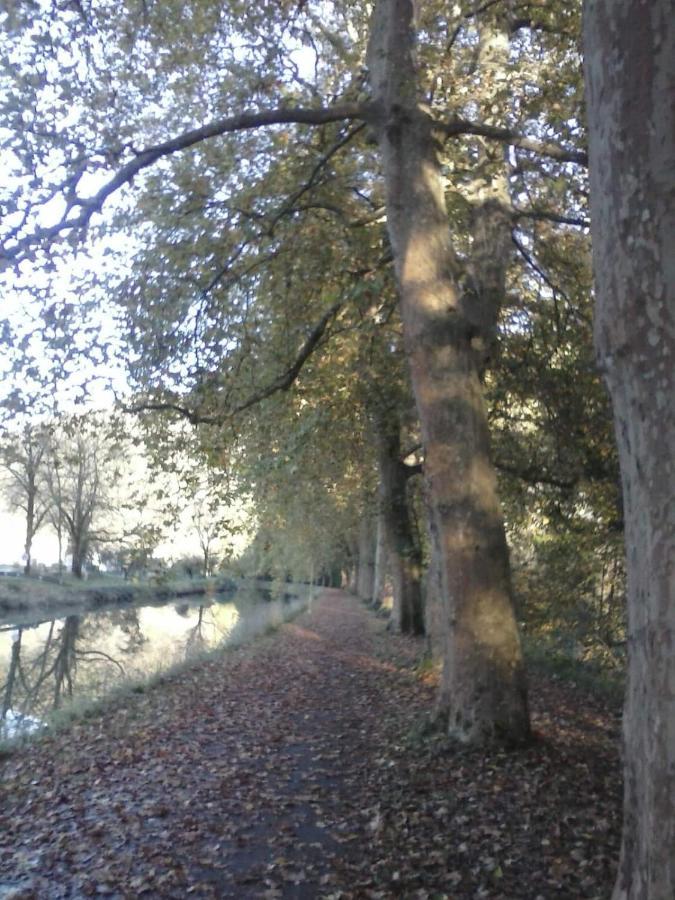 Gite 3 Etoiles "Entre Sources Et Riviere" Besancon Vaire-le-Grand Eksteriør bilde